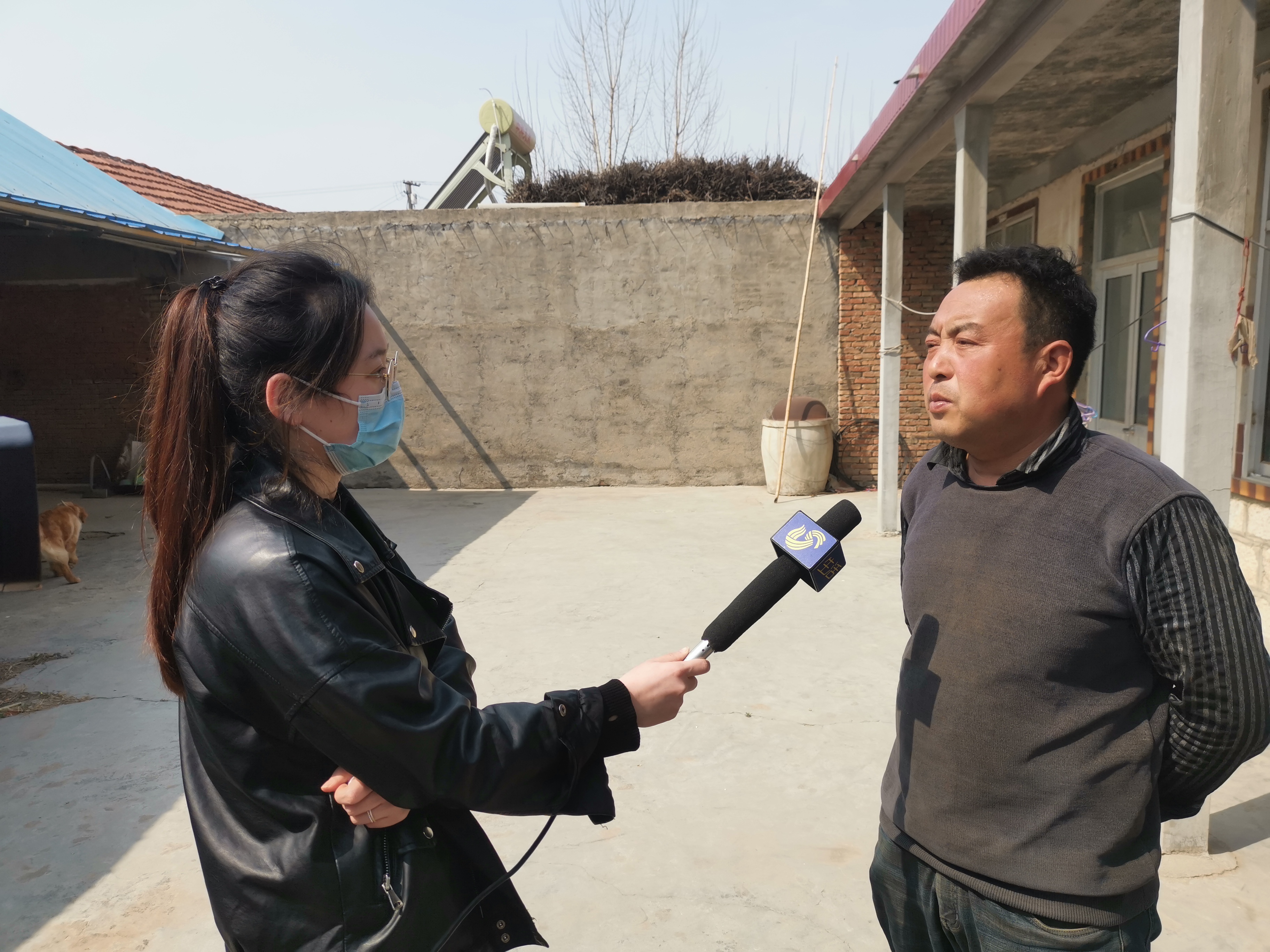 第209所 平度市崔家集镇状元府米兰在线刘丽新小学 第209所 平度市崔家集镇状元府米兰在线刘丽新小学