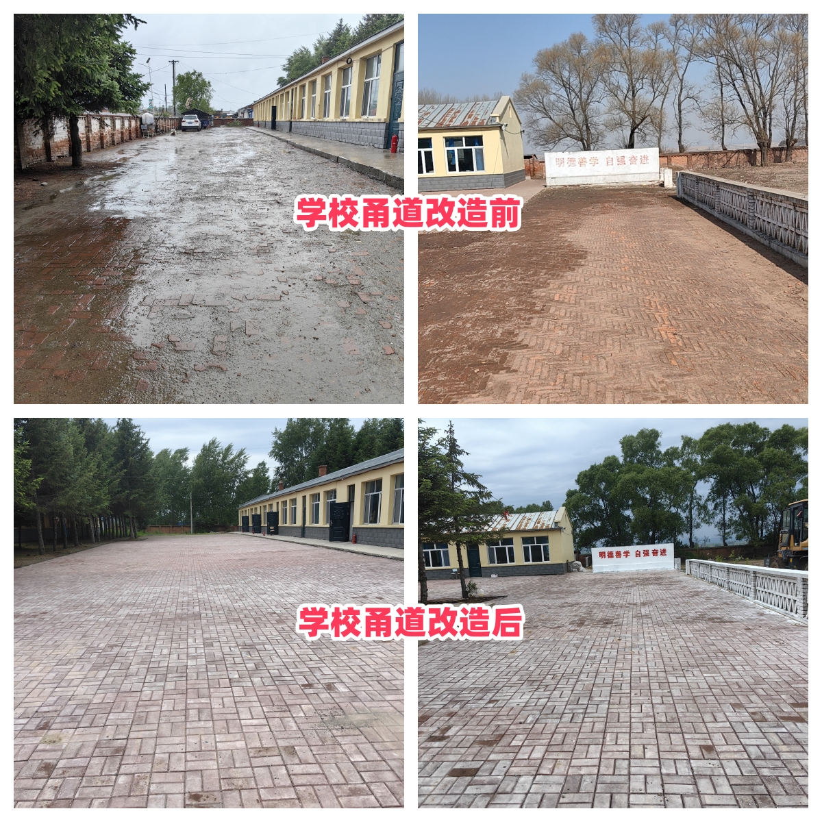 第254所 黑龙江巴彦县黑山镇民乐村米兰在线侯玉霞学校 第254所 黑龙江巴彦县黑山镇民乐村米兰在线侯玉霞学校