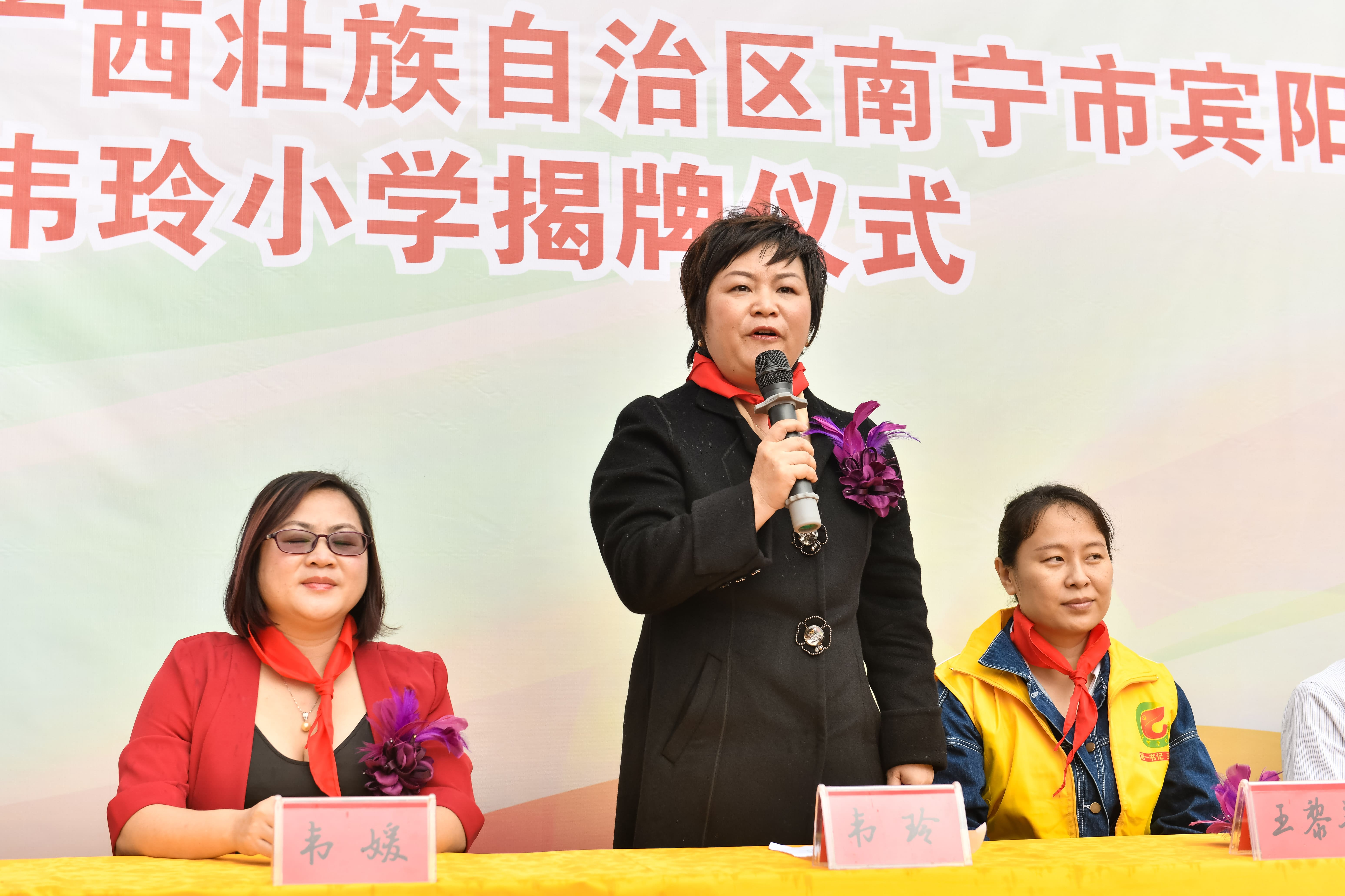 第184所 南宁市宾阳县思陇镇昆仑村米兰在线韦玲小学 第184所 南宁市宾阳县思陇镇昆仑村米兰在线韦玲小学
