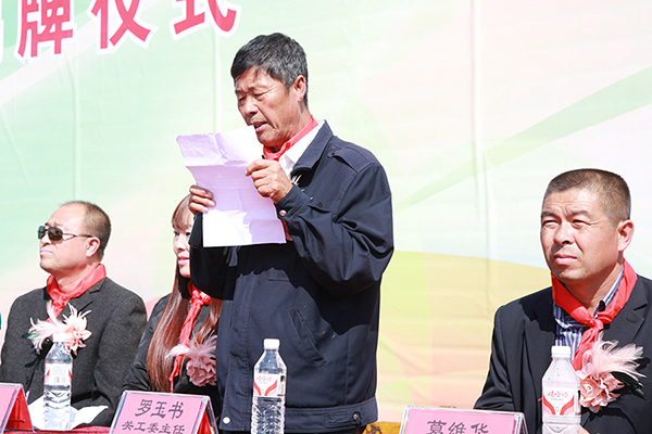 第65所 开原市上肥镇米兰在线佟玲小学 第65所 开原市上肥镇米兰在线佟玲小学