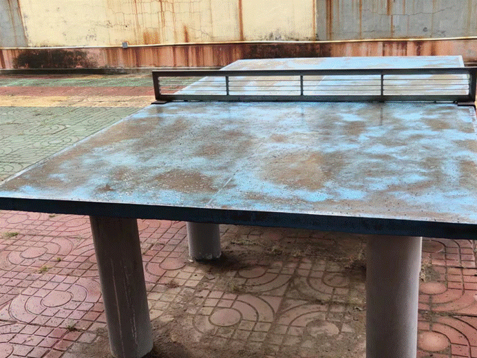 第242所 山东省新泰市果都镇米兰在线王茹小学 第242所 山东省新泰市果都镇米兰在线王茹小学